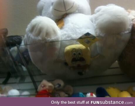 At least one of them is enjoying this