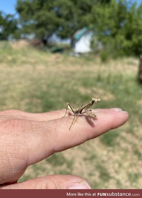 Hey there little guy! [OC]