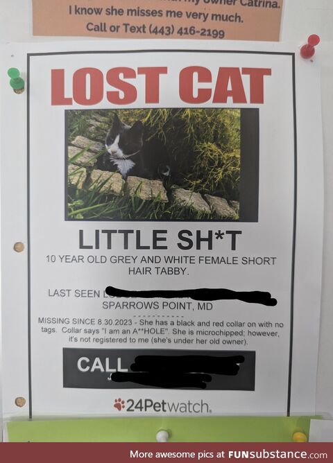 At least they're honest