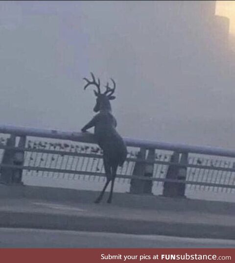 Poor Oliver, didn't make Santa's team this year