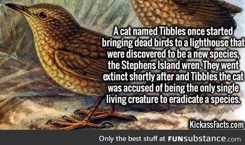 Smouldering toothsome scaly