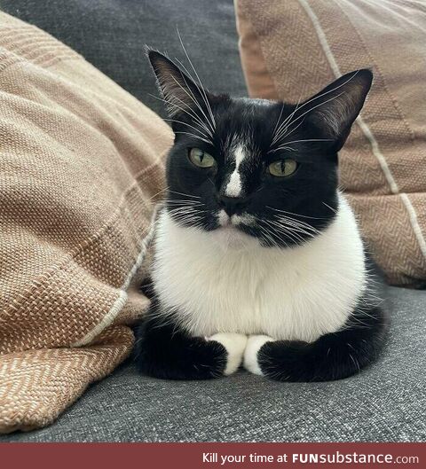 Living the good life