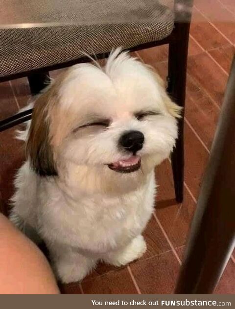 It starts in my toes makes me Cringkel my nose and make me smile baby just take your time