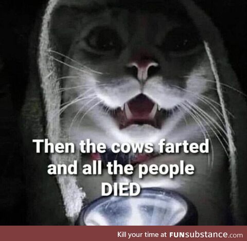 Future Cat campfire story