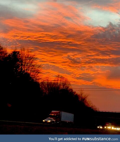 Sunset was absolutely gorgeous tonight