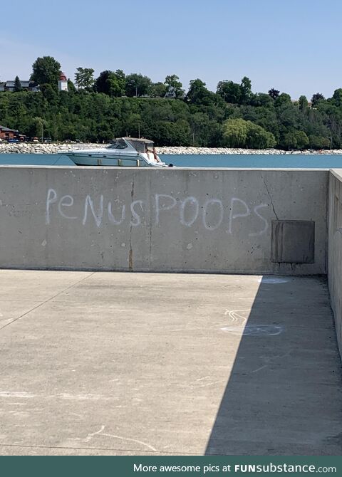 I saw this graffiti on a pier a couple years ago and I still think about it often