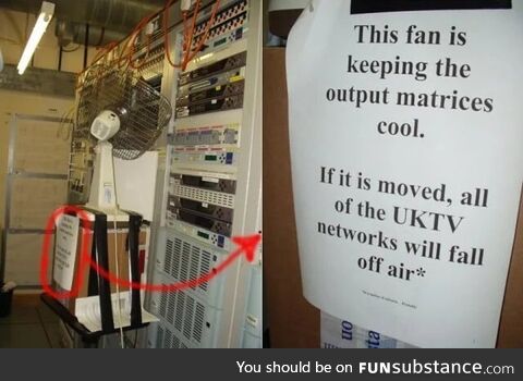 Tender timely frilly