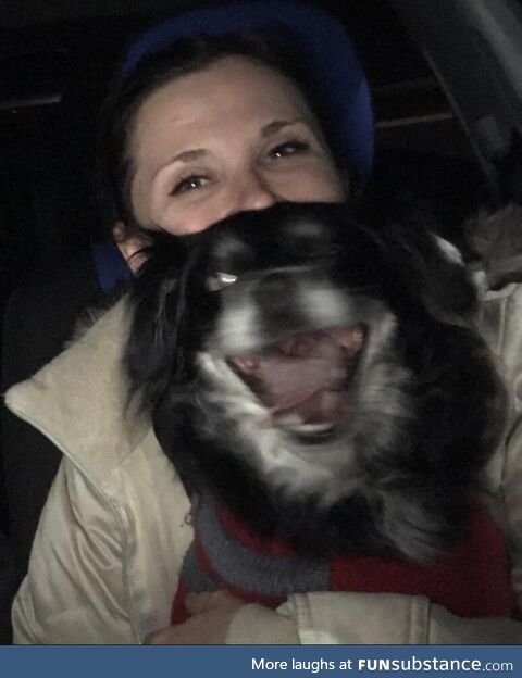 [OC] Today is Wife Day I guess, so “Oh yeah, well here is MY wife with a ‘vicious’