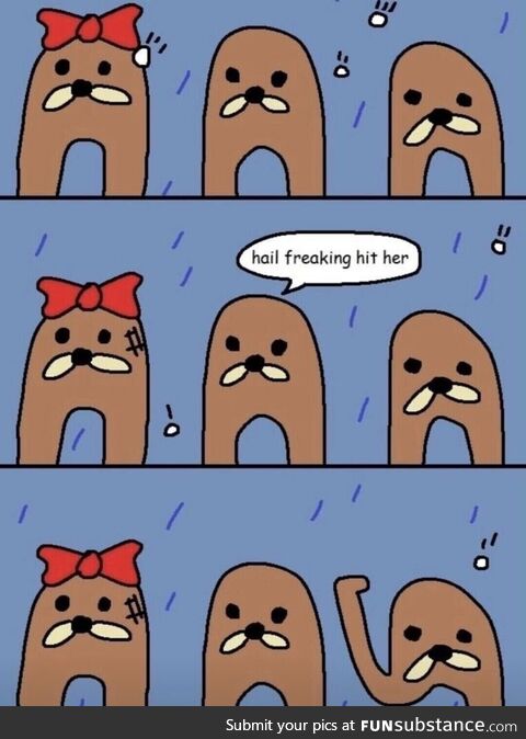 Zealous concerned immediate