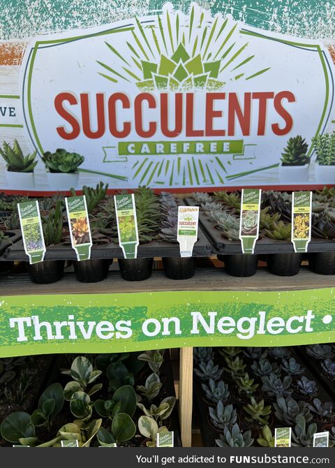 These plants need therapy