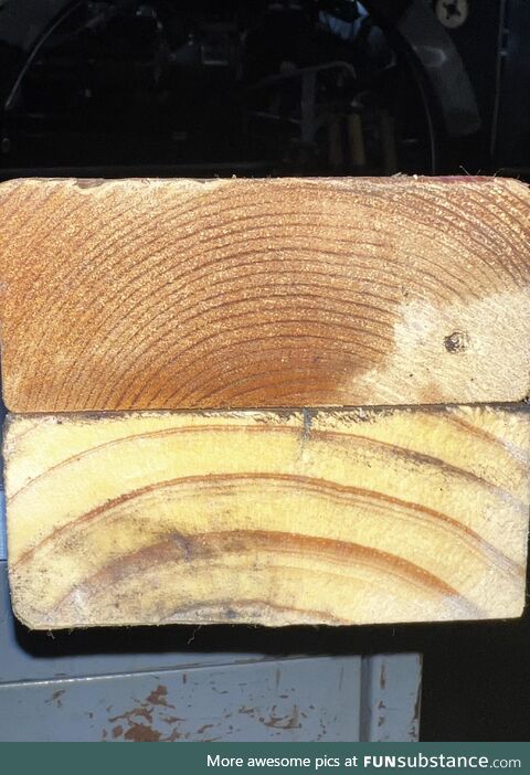 60 year old 2x4 vs. New