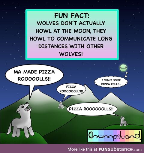 A fun fact about wolves [oc]