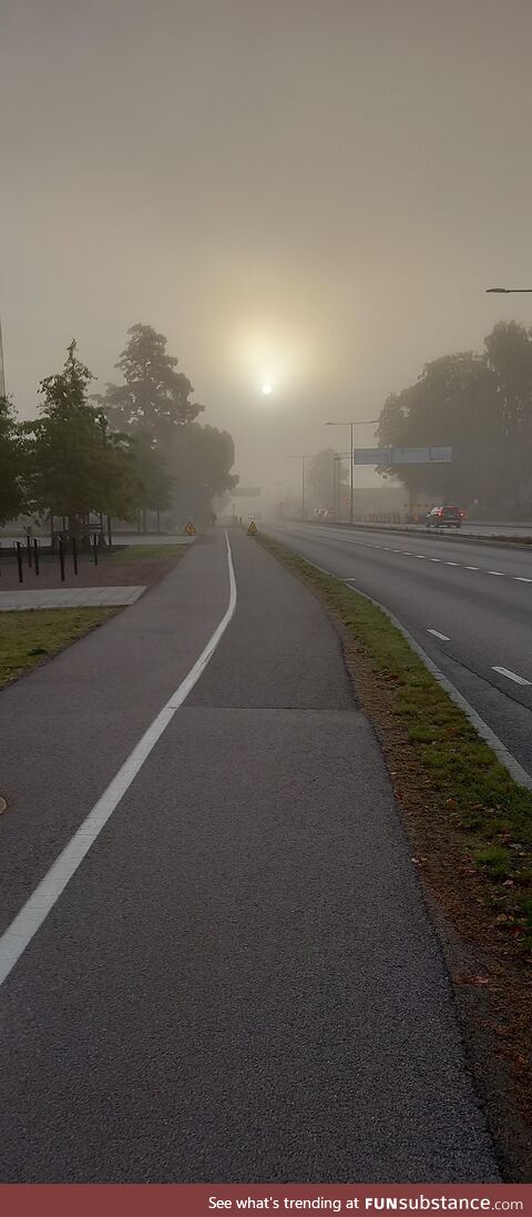 ITAP foggy morning sun in sweden