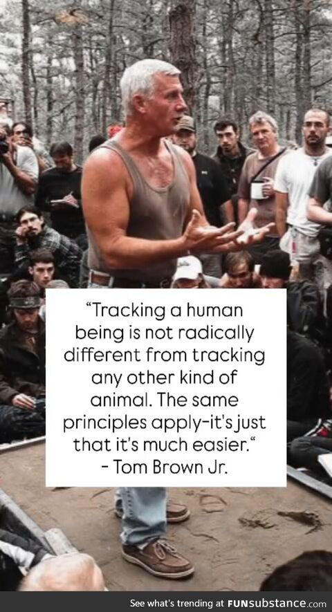 Neutered faded opaque