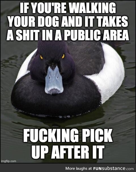 The public park is not your dog's designated shitting area