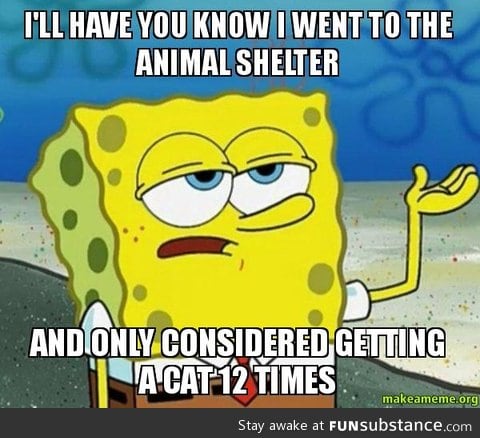 Animal Shelter