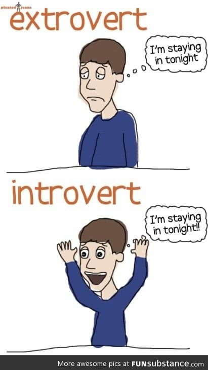 Introvert vs Extrovert