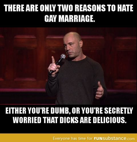 Joe Rogan on gay marriage