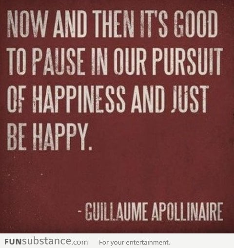 Pause in your pursuit of happiness to be happy