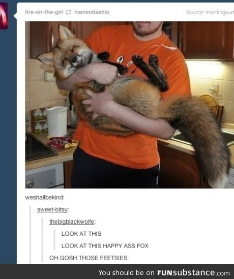 Happy fox