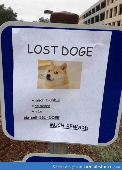 Doge is not over...yet.