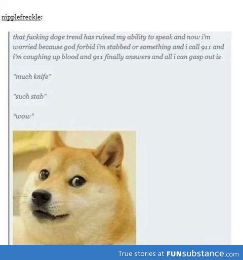 Doge: messing up grammar since 2013