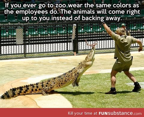 Next time you go to the zoo