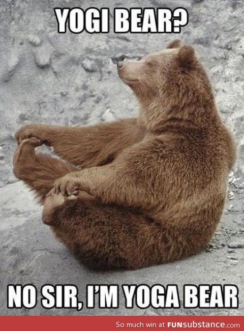 I am yoga bear !