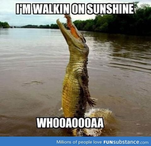 I'm walking on sunshine