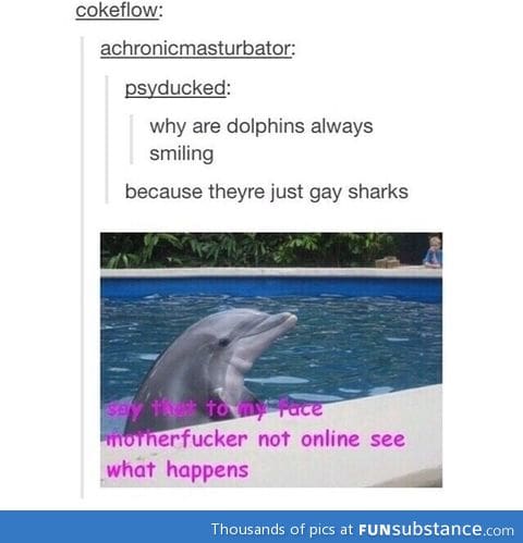 Gay sharks