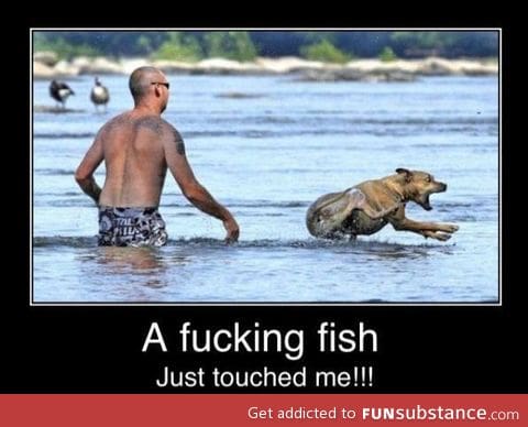 A fish touched me !!!