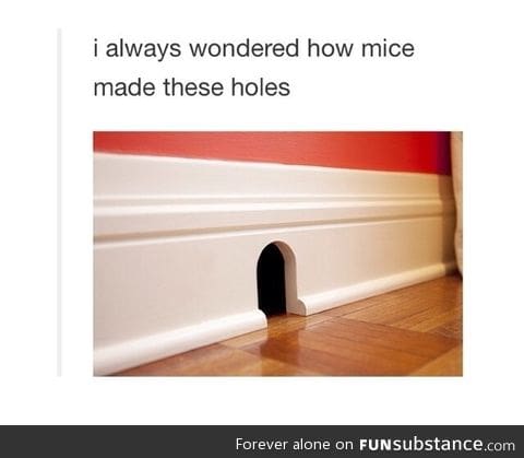 The Jerry's mouse holes would change shape I mean wow