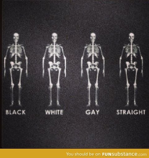 We're All The Same Underneath...