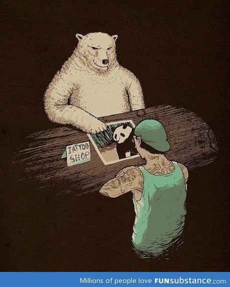 Polar bear gets tattoo