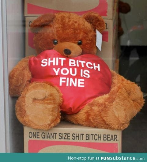 I love my Shit B*tch Bear